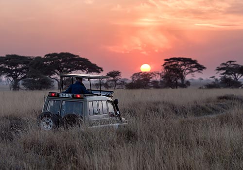 DEBRE_SAFARI_Truck_savana_hu-chen-0LwfbRtQ-ac-unsplash